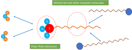 sles mechanism-psgraw